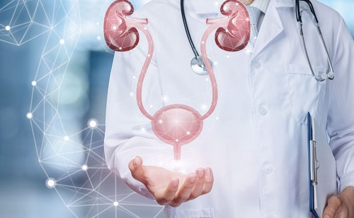 Urology & Urosurgery