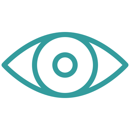 vision